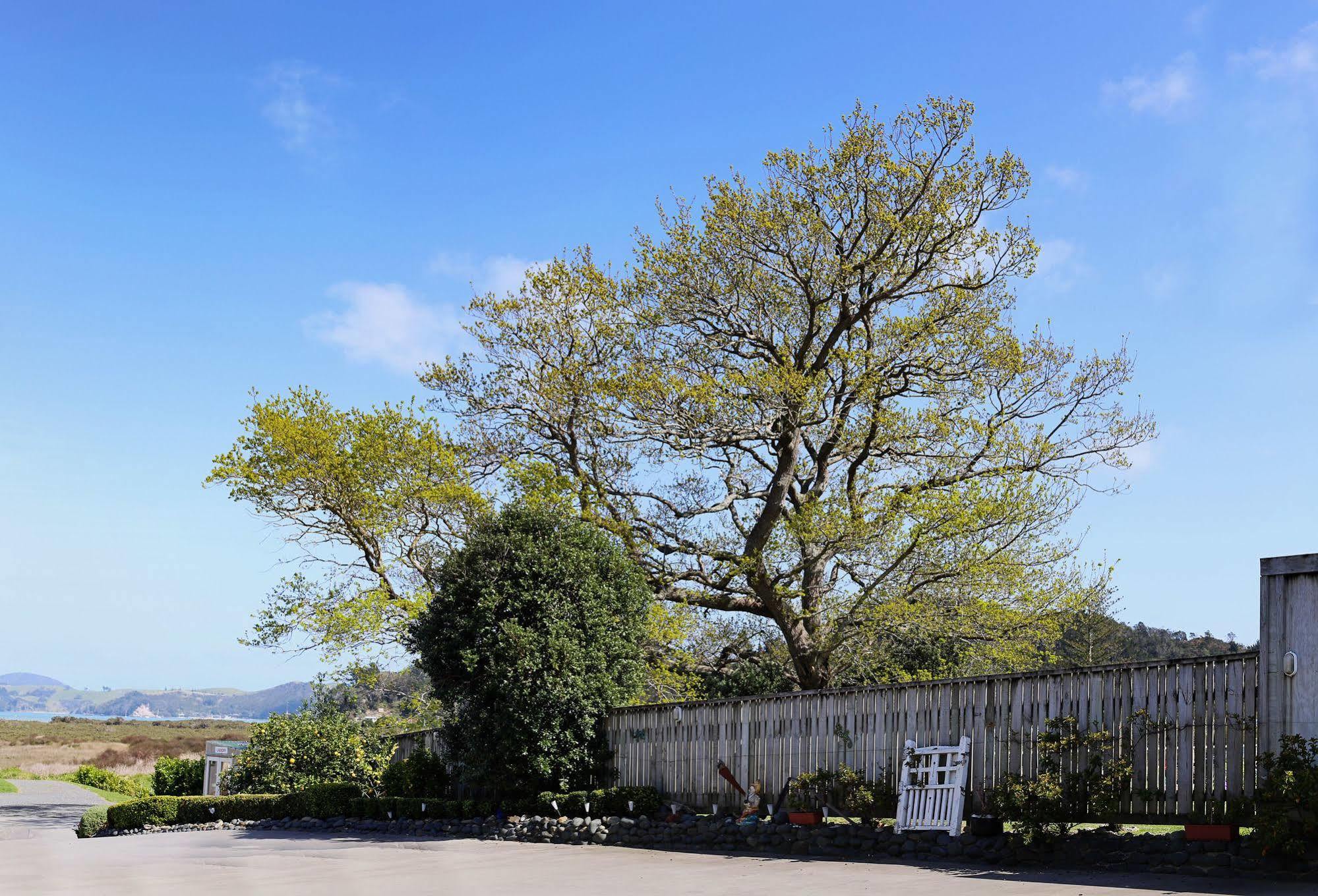 Abbey Court Motel Coromandel Buitenkant foto